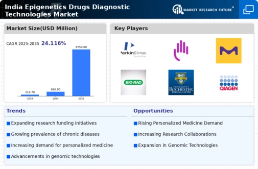 India Epigenetics Drugs Diagnostic Technologies Market Infographic