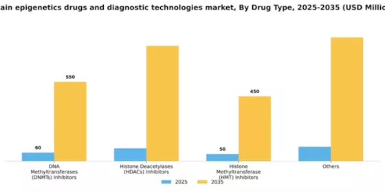 Spain Epigenetics Drugs Diagnostic Technologies Market Segment Image 2