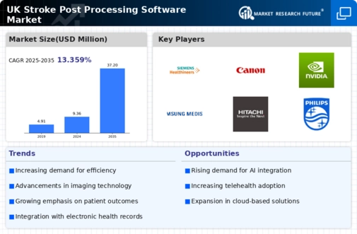 UK Stroke Post Processing Software Market Infographic