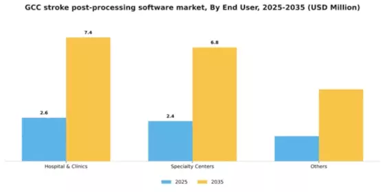 GCC Stroke Post Processing Software Market Segment Image 0