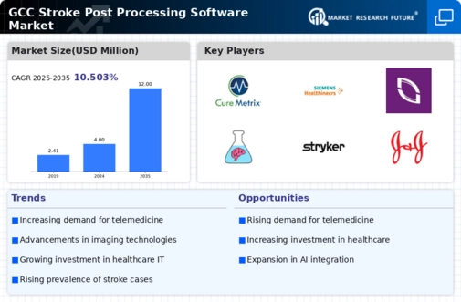 GCC Stroke Post Processing Software Market Infographic