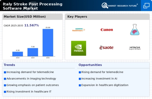 Italy Stroke Post Processing Software Market Infographic