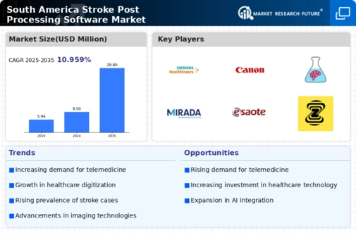 South America Stroke Post Processing Software Market Infographic