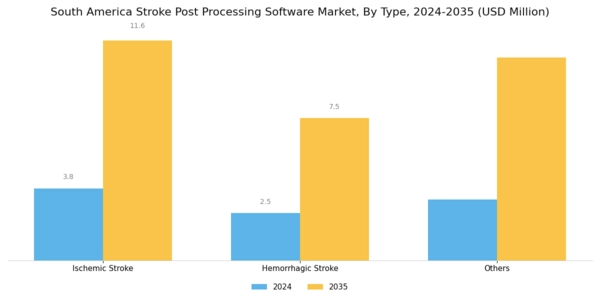 South America Stroke Post Processing Software Market Segment Image 2