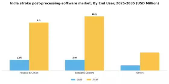 India Stroke Post Processing Software Market Segment Image 0