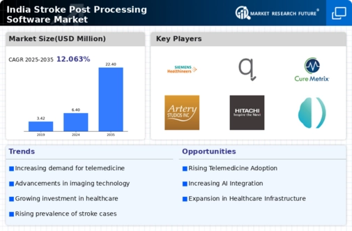 India Stroke Post Processing Software Market Infographic