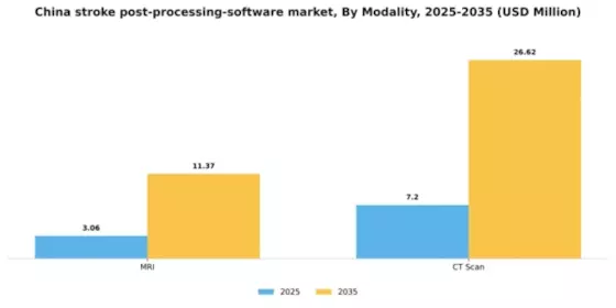 China Stroke Post Processing Software Market Segment Image 2
