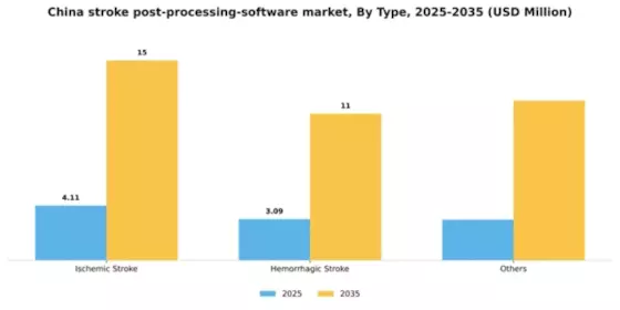 China Stroke Post Processing Software Market Segment Image 3