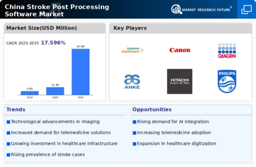 China Stroke Post Processing Software Market Infographic
