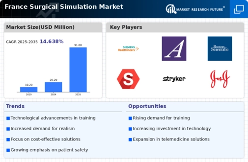 France Surgical Simulation Market Infographic