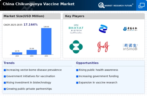 China Chikungunya Vaccine Market Infographic