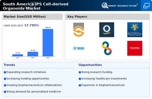 South America iPS Cell Derived Organoids Market Infographic