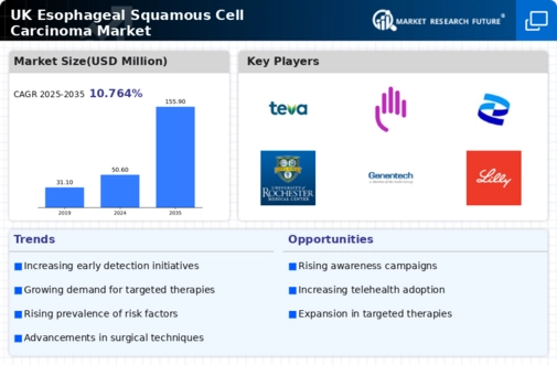 UK Esophageal Squamous Cell Carcinoma Market Infographic