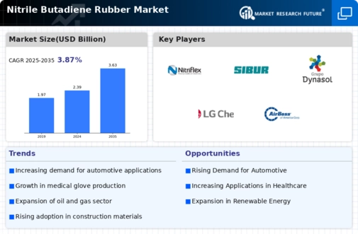Nitrite butadiene rubber Market Infographic