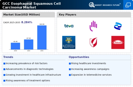 GCC Esophageal Squamous Cell Carcinoma Market Infographic