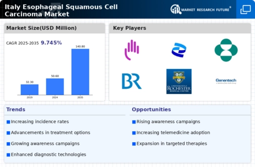 Italy Esophageal Squamous Cell Carcinoma Market Infographic