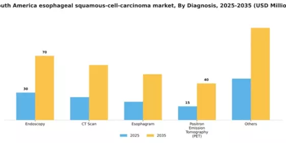 South America Esophageal Squamous Cell Carcinoma Market Segment Image 0