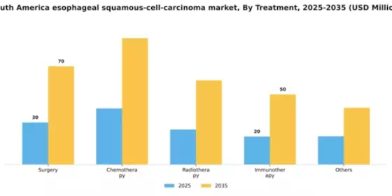 South America Esophageal Squamous Cell Carcinoma Market Segment Image 2