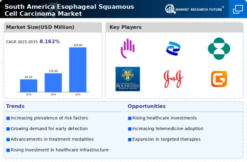 South America Esophageal Squamous Cell Carcinoma Market Infographic