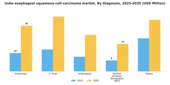 India Esophageal Squamous Cell Carcinoma Market Segment Image 0