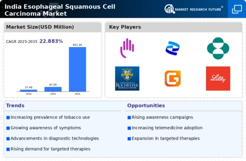 India Esophageal Squamous Cell Carcinoma Market Infographic