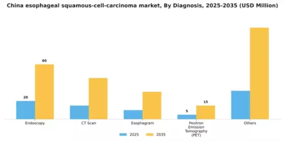 China Esophageal Squamous Cell Carcinoma Market Segment Image 0
