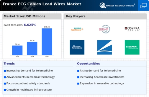 France ECG Cables Lead Wires Market Infographic