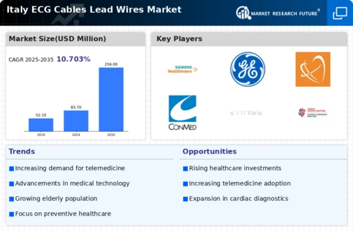 Italy ECG Cables Lead Wires Market Infographic