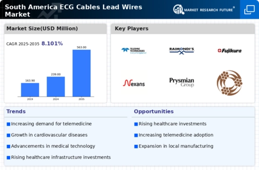 South America ECG Cables Lead Wires Market Infographic