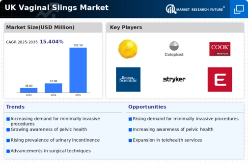 UK Vaginal Slings Market Infographic