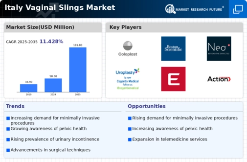 Italy Vaginal Slings Market Infographic