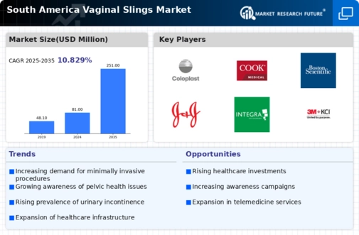 South America Vaginal Slings Market Infographic