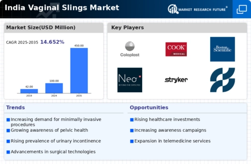 India Vaginal Slings Market Infographic