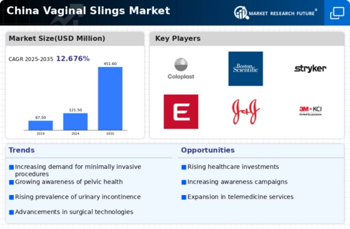 China Vaginal Slings Market Infographic