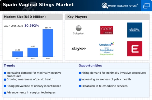 Spain Vaginal Slings Market Infographic