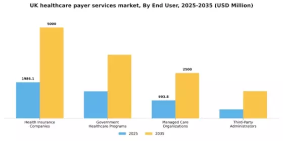 UK Healthcare Payer Services Market Segment Image 1