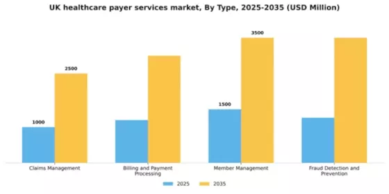 UK Healthcare Payer Services Market Segment Image 3
