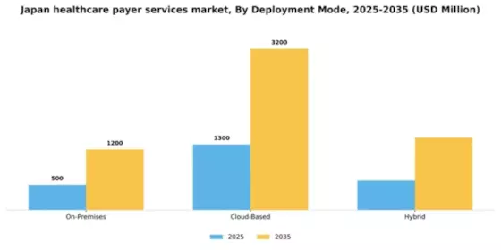 Japan Healthcare Payer Services Market Segment Image 0