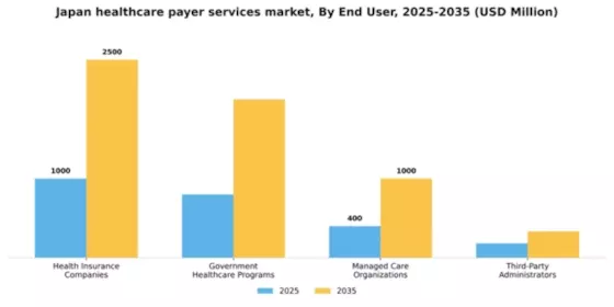 Japan Healthcare Payer Services Market Segment Image 1