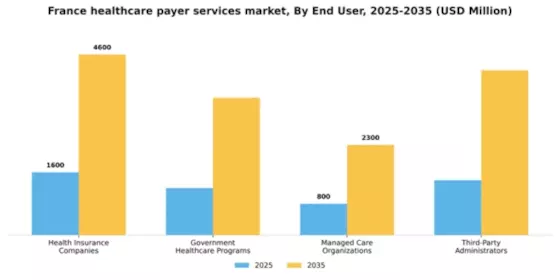 France Healthcare Payer Services Market Segment Image 1