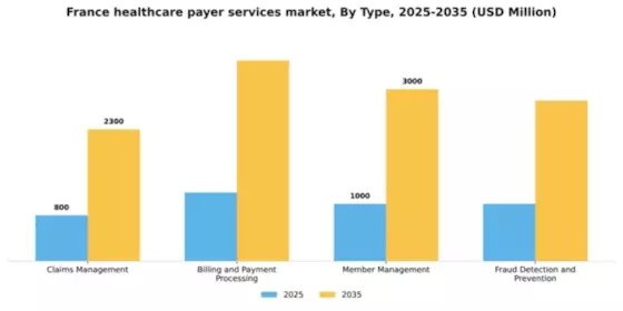 France Healthcare Payer Services Market Segment Image 3