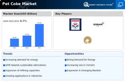 Pet Coke Market Infographic