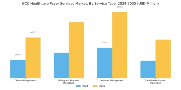 GCC Healthcare Payer Services Market Segment Image 0