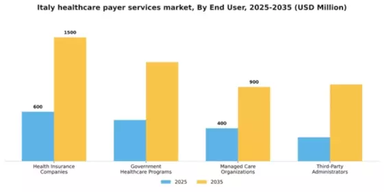 Italy Healthcare Payer Services Market Segment Image 1