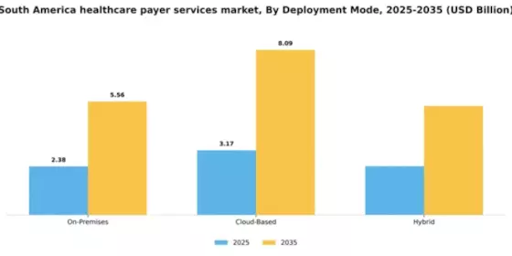 South America Healthcare Payer Services Market Segment Image 0
