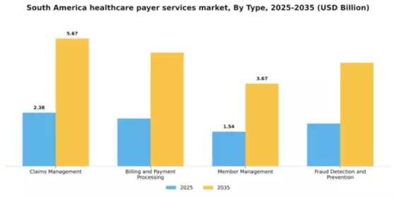 South America Healthcare Payer Services Market Segment Image 3