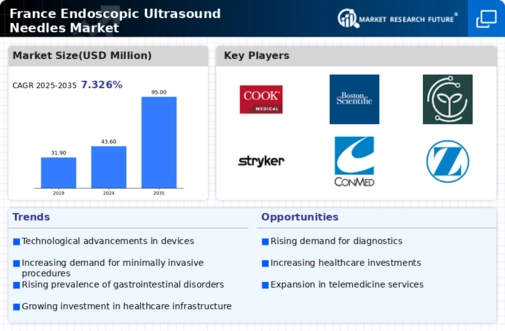 France Endoscopic Ultrasound Needles Market Infographic