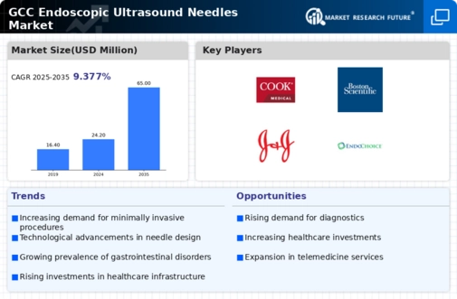GCC Endoscopic Ultrasound Needles Market Infographic