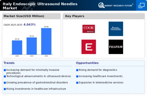 Italy Endoscopic Ultrasound Needles Market Infographic