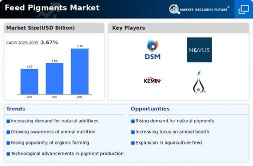 Feed Pigments Market Infographic